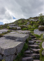 Landscape of the side of Bennachie, Scotland