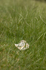 Abfall in der Natur / unnecessary waste