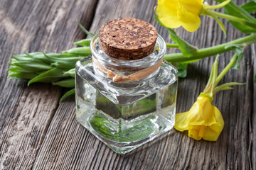 A bottle of evening primrose oil with fresh blooming evening primrose