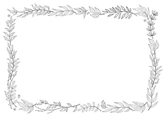 herbal mix vector frame in line style. Hand draw plants, branches and leaves on white background. Coloring frame
