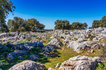 Landscape near Cuevas del Becerro in province Malaga, Andalusia, Spain