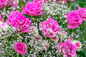 Strauß mit rosa farbenen Rosen und Schleierkraut