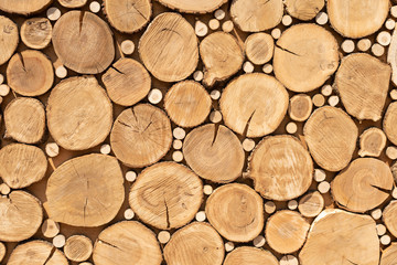 Saw cuts design texture. Tree stumps background. Log cuts close up. Stack of logs. close up
