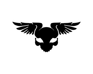 Fototapeta na wymiar Falcon Wing Logo Template vector icon design