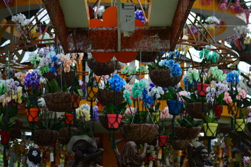 Fototapeta premium colorful flowers in pots