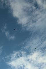motorized paraglider,fly, parachute, cloud,  freedom, paragliding, sport, air,