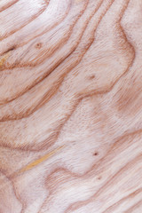 ash tree wood texture background in macro lens shoot