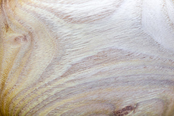 Fototapeta premium false acacia - robinia pseudoacacia wood texture background in macro lens shoot