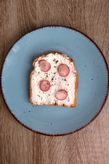Toast with cream cheese, radish and herb. Top view.