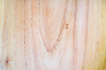 false acacia - robinia pseudoacacia wood texture background in macro lens shoot