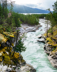Fry Creek Flowing to Kootenay Lake