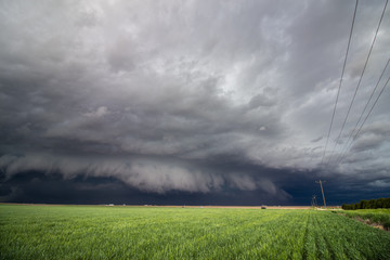 A low shelf cloud and severe storm rapidly approaches over farm country.