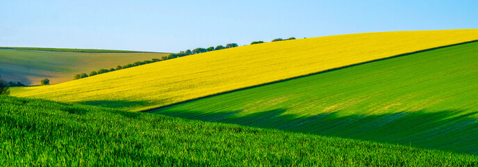 Obraz premium Sussex rolling hills with patterns and colours of crops growing in the big fields