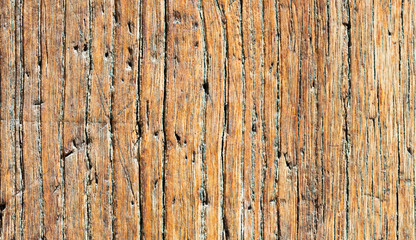 Close-up of a Old Paneled Wooden Door; Rusty and Weathered. Wood Texture Background