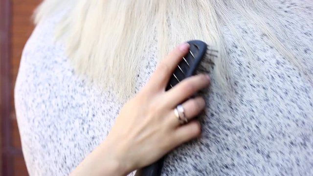 Girl grooming horse in the outdoors. Close up