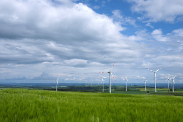 Windpark in der Eifel bei Düngenheim-Gamlen mit Getreidefeld im Frühling und Windrädern am Horizont - Stockfoto
