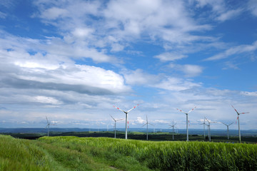 Windpark in der Eifel bei Düngenheim-Gamlen mit Getreidefeld im Frühling und Windrädern am...