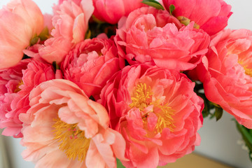 Coral peonies in a glass vase on wooden table.. Beautiful peony flower for catalog or online store....