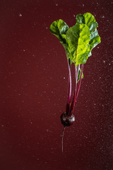 gourd on a red background with water drops