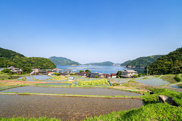 日引の棚田