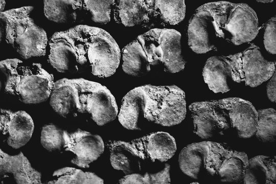 A pile of femurs in the Parisian Catacombs