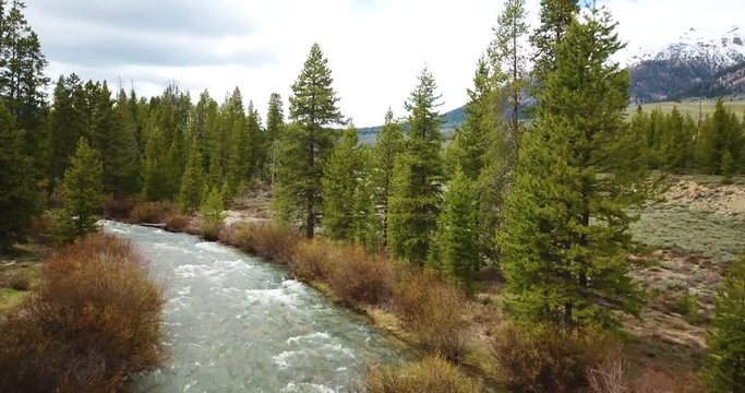 Idaho Wild Scenic Salmon River Sawtooth Forest Aerial