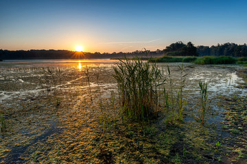 Sunrise at Milicz Ponds