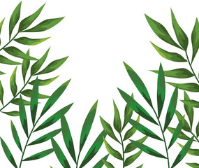 branch with leafs plants pattern background