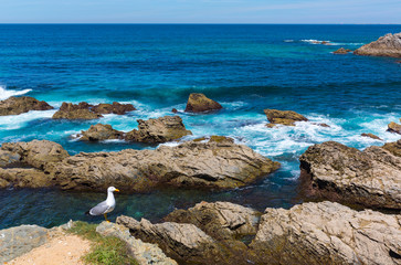 Porto Covo, Natural Park of Southwest Alentejo and Costa Vicentina, Alentejo, Portugal, Europe