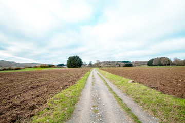 Dirt road in the middle of a tilled field. A path in the middle of a field.