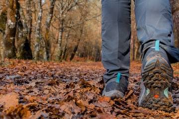 Hiker's boots stepping on a blanket of fallen autumnal orange leaves.