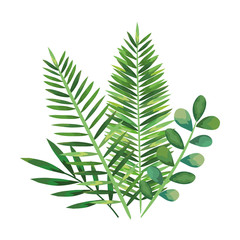 exotic and tropical leafs with branches decoration