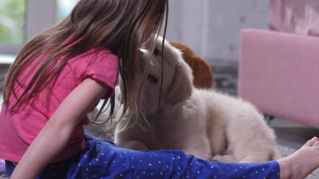 Close-up of sweet golden retriever puppy sniffing little girl pet owner lying in front of her on carpet in nursery. Joyful elementary age child having fun playing with fluffy friend doggy in bedroom