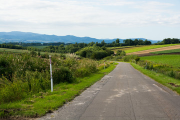 夏の農村の道路
