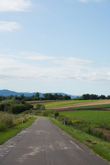 Fototapeta na wymiar 夏の農村の道路