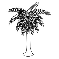 tree palm summer isolated icon