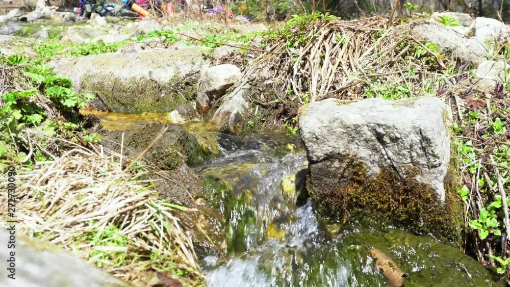 Poster close-up view of beautiful small stream running between grey rocks in forest in sunny spring day. me