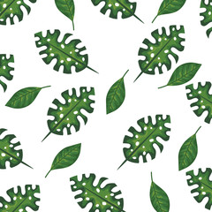 exotic and tropical leafs plant pattern