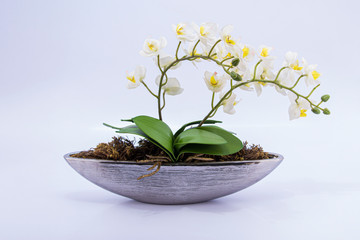 Vaso de Flor Decorativo