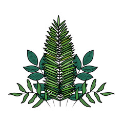 exotic and tropical leafs with branches decoration