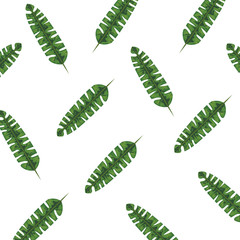 exotic and tropical leafs plant pattern
