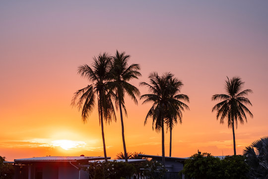Silhouette of coconut palm trees against the sky during a sunset time.