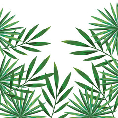 branch with leafs plants pattern background