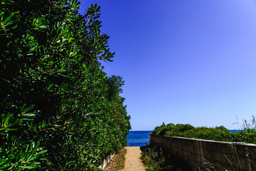 Fototapeta na wymiar Background of a path that leads to the beach with a deep blue sky color.