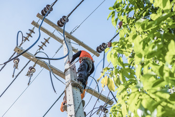 Electrician workers are climbing on the electric poles to install and repair power lines.