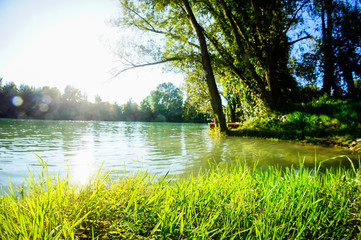Wild Brenta River