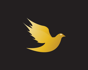 Gold Bird Dove Logo Vector in Elegant Style with Black Background