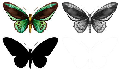 Set of butterfly character