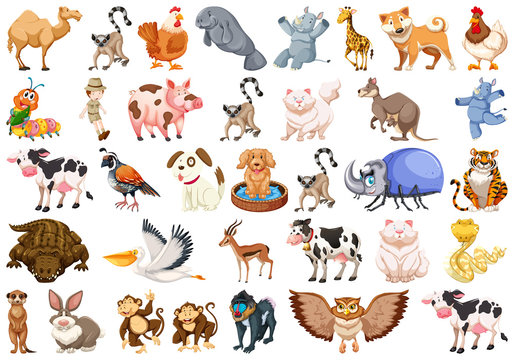 Set of different animals set