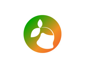 Mango in flat style. Mango vector logo. Mango icon